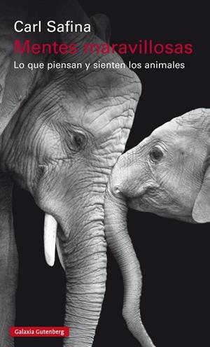 MENTES MARAVILLOSAS | 9788481095746 | SAFINA, CARL | Llibreria La Gralla | Llibreria online de Granollers