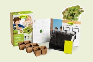 MINI KIT D'ENCIAM MERAVELLA D'ESTIU | 8437016560075 | SEMBRA | Llibreria La Gralla | Librería online de Granollers