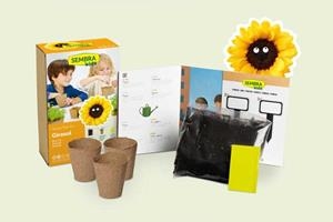 MINI KIT GIRA-SOL | 8437016560167 | SEMBRA | Llibreria La Gralla | Librería online de Granollers