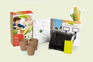 MINI KIT BLAT DE MORO PER A CRISPETES | 8437016560129 | SEMBRA | Llibreria La Gralla | Librería online de Granollers