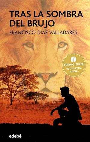 TRAS LA SOMBRA DEL BRUJO | 9788468332741 | DÍAZ VALLADARES, FRANCISCO | Llibreria La Gralla | Llibreria online de Granollers