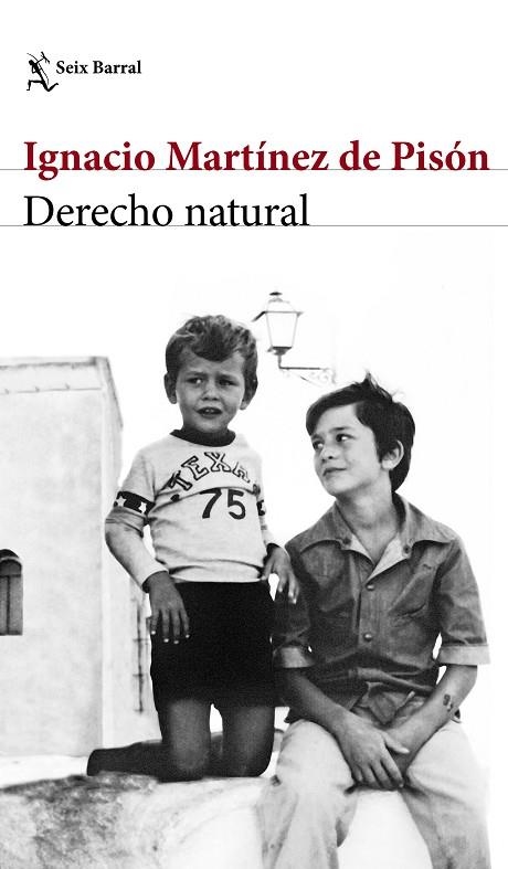 DERECHO NATURAL | 9788432232220 | MARTÍNEZ DE PISÓN, IGNACIO  | Llibreria La Gralla | Llibreria online de Granollers