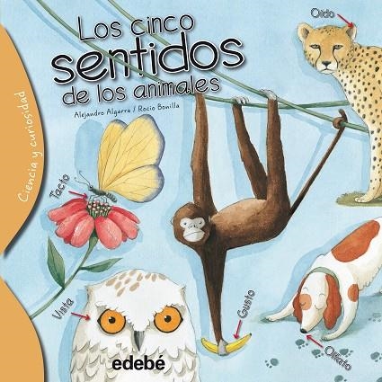 CINCO SENTIDOS DE LOS ANIMALES, LOS | 9788468329574 | ALGARRA, ALEJANDRO / BONILLA, ROCIO | Llibreria La Gralla | Llibreria online de Granollers