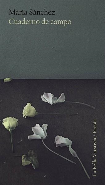 CUADERNO DE CAMPO | 9788494500763 | SANCHEZ, MARIA | Llibreria La Gralla | Librería online de Granollers