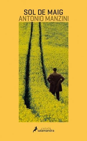 SOL DE MAIG | 9788416310227 | MANZINI, ANTONIO | Llibreria La Gralla | Librería online de Granollers