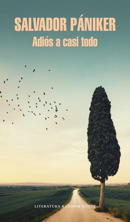 ADIÓS A CASI TODO | 9788439732693 | PANIKER, SALVADOR | Llibreria La Gralla | Librería online de Granollers