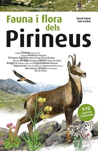 FAUNA I FLORA DELS PIRINEUS | 9788415885559 | GUIXÉ, DAVID | Llibreria La Gralla | Llibreria online de Granollers