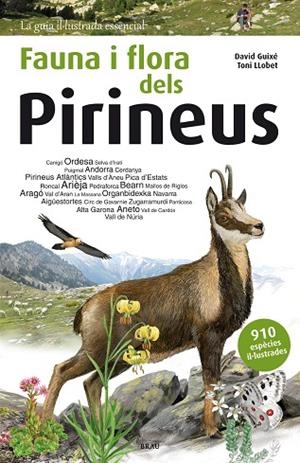 FAUNA I FLORA DELS PIRINEUS | 9788415885559 | GUIXÉ, DAVID | Llibreria La Gralla | Librería online de Granollers