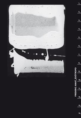 FREDERIC AMAT ZOOTROP | 9788417047009 | AMAT, FREDERIC | Llibreria La Gralla | Llibreria online de Granollers