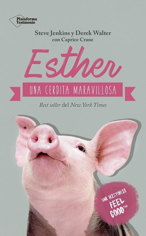 ESTHER, UNA CERDITA MARAVILLOSA | 9788417002510 | JENKINS, STEVE/WALTER, DEREK | Llibreria La Gralla | Librería online de Granollers