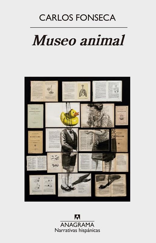 MUSEO ANIMAL | 9788433998408 | FONSECA, CARLOS | Llibreria La Gralla | Librería online de Granollers