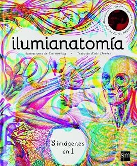 ILUMIANATOMIA | 9788467594201 | DAVIES, KATE | Llibreria La Gralla | Librería online de Granollers