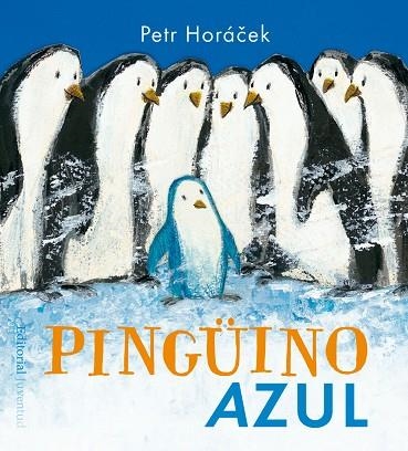 PINGüINO AZUL | 9788426142351 | HORáCEK, PETR | Llibreria La Gralla | Llibreria online de Granollers