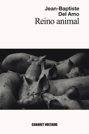REINO ANIMAL | 9788494710827 | DEL AMO, JEAN-BAPTISTE | Llibreria La Gralla | Librería online de Granollers