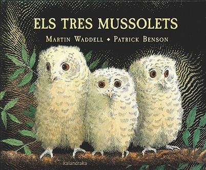 TRES MUSSOLETS, ELS | 9788416804191 | WADDELL, MARTIN | Llibreria La Gralla | Librería online de Granollers