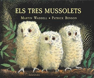 TRES MUSSOLETS, ELS | 9788416804191 | WADDELL, MARTIN | Llibreria La Gralla | Llibreria online de Granollers