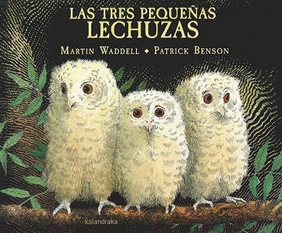 TRES PEQUEÑAS LECHUZAS, LAS | 9788484643180 | WADDELL, MARTIN | Llibreria La Gralla | Librería online de Granollers