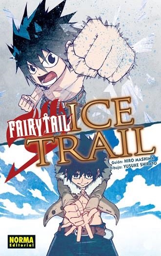 FAIRY TAIL ICE TRAIL | 9788467928983 | HIRO MASHIMA, YUSUKE SHIRATO | Llibreria La Gralla | Llibreria online de Granollers