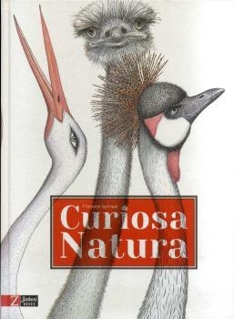 CURIOSA NATURA | 9788494713538 | GUIRAUD, FLORENCE | Llibreria La Gralla | Llibreria online de Granollers