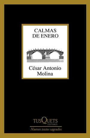 CALMAS DE ENERO | 9788490664704 | MOLINA, CÉSAR ANTONIO | Llibreria La Gralla | Librería online de Granollers