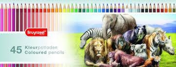COLORS 45 UN BRUYNZEEL ESCOLAR ANIMALS SELVA | 8710141132523 | 5012M45 | Llibreria La Gralla | Llibreria online de Granollers