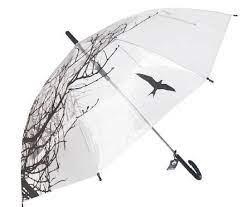 PARAIGUES TRANSPARENT ESTAMPAT NATURA | 8429884129072 | MELQUIADES | Llibreria La Gralla | Llibreria online de Granollers