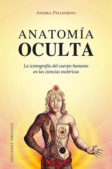 ANATOMÍA OCULTA | 9788491112938 | PELLEGRINO, ANDREA | Llibreria La Gralla | Librería online de Granollers