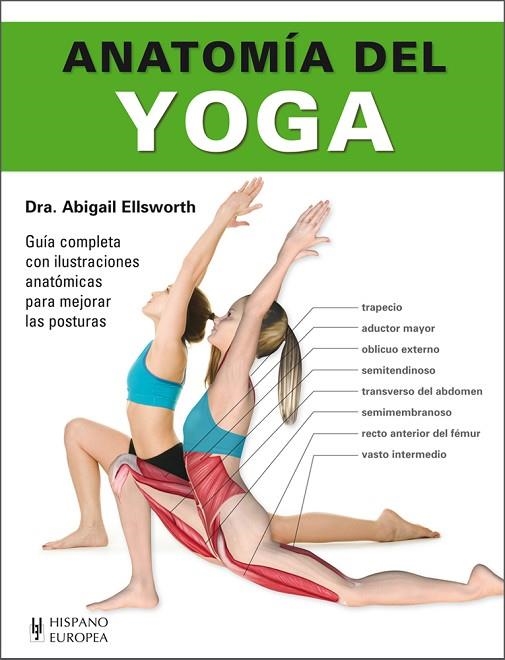 ANATOMÍA DEL YOGA | 9788425521201 | ELLSWORTH, ABIGAIL | Llibreria La Gralla | Librería online de Granollers