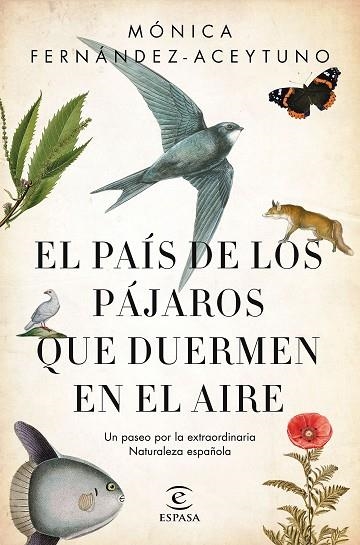 PAÍS DE LOS PÁJAROS QUE DUERMEN EN EL AIRE, EL | 9788467051469 | FERNÁNDEZ-ACEYTUNO SAÉNZ DE SANTA MARÍA, MÓNICA | Llibreria La Gralla | Llibreria online de Granollers