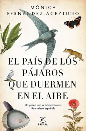 PAÍS DE LOS PÁJAROS QUE DUERMEN EN EL AIRE, EL | 9788467051469 | FERNÁNDEZ-ACEYTUNO SAÉNZ DE SANTA MARÍA, MÓNICA | Llibreria La Gralla | Llibreria online de Granollers