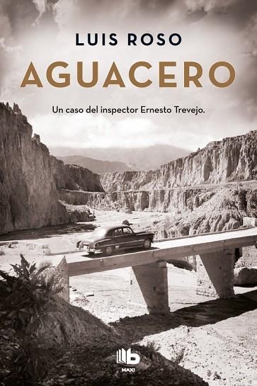 AGUACERO(BOLSILLO) | 9788490704363 | ROSO, LUIS | Llibreria La Gralla | Librería online de Granollers