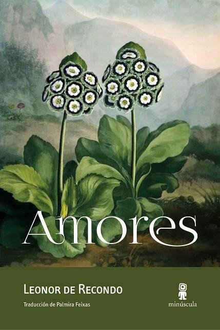 AMORES | 9788494675478 | DE RECONDO, LEONOR | Llibreria La Gralla | Librería online de Granollers