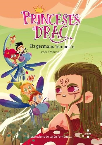 PRINCESES DRAC 5. ELS GERMANS TEMPESTA | 9788466143769 | MAÑAS ROMERO, PEDRO | Llibreria La Gralla | Librería online de Granollers