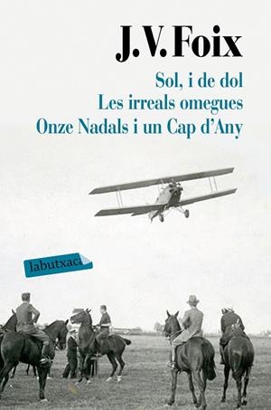 SOL, I DE DOL. LES IRREALS OMEGUES. ONZE NADALS I UN CAP D'ANY (BUTXACA) | 9788417031626 | FOIX I MAS, J. V. | Llibreria La Gralla | Llibreria online de Granollers