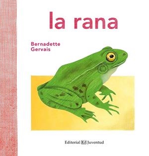 RANA, LA | 9788426144584 | GERVAIS, BERNADETTE | Llibreria La Gralla | Llibreria online de Granollers