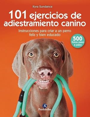 101 EJERCICIOS DE ENTRENAMIENTO CANINO | 9788499107332 | SUNDANCE, KYRA | Llibreria La Gralla | Librería online de Granollers