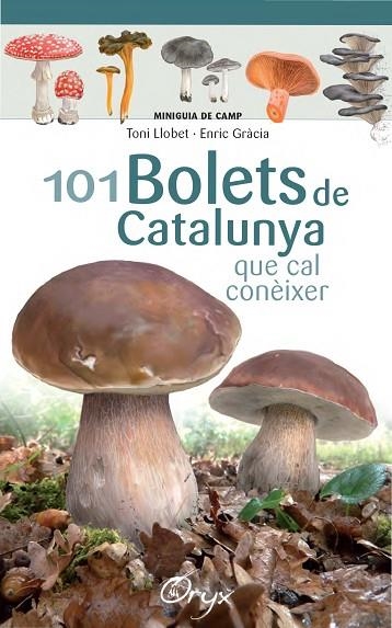 101 BOLETS DE CATALUNYA | 9788490347096 | LLOBET FRANÇOIS, TONI/GRÀCIA, ENRIC | Llibreria La Gralla | Llibreria online de Granollers