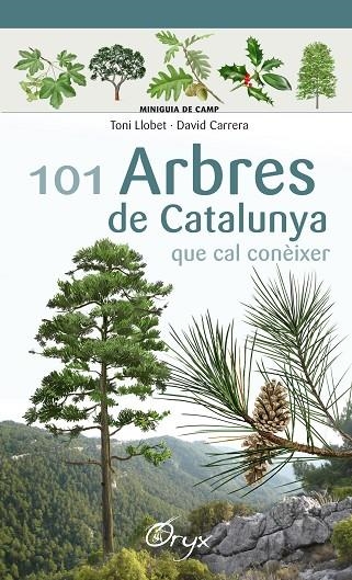101 ARBRES DE CATALUNYA | 9788490346778 | LLOBET FRANÇOIS, TONI/CARRERA BONET, DAVID | Llibreria La Gralla | Llibreria online de Granollers