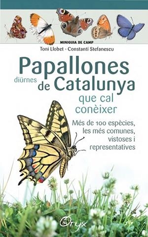 PAPALLONES DIÜRNES DE CATALUNYA | 9788490346754 | LLOBET FRANÇOIS, TONI/STEFANESCU, CONSTANTÍ | Llibreria La Gralla | Librería online de Granollers