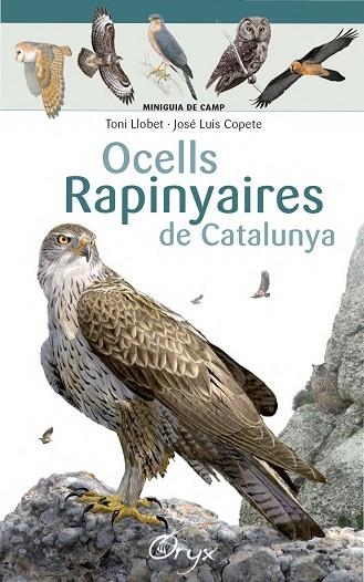 OCELLS RAPINYAIRES DE CATALUNYA | 9788490346785 | LLOBET FRANÇOIS, TONI/COPETE, JOSÉ LUIS | Llibreria La Gralla | Llibreria online de Granollers