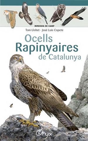 OCELLS RAPINYAIRES DE CATALUNYA | 9788490346785 | LLOBET FRANÇOIS, TONI/COPETE, JOSÉ LUIS | Llibreria La Gralla | Librería online de Granollers