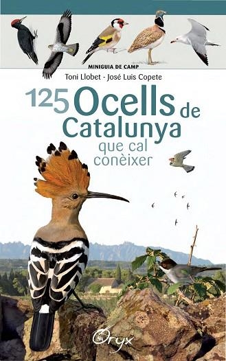 125 OCELLS DE CATALUNYA | 9788490346747 | LLOBET FRANÇOIS, TONI/COPETE, JOSÉ LUIS | Llibreria La Gralla | Librería online de Granollers