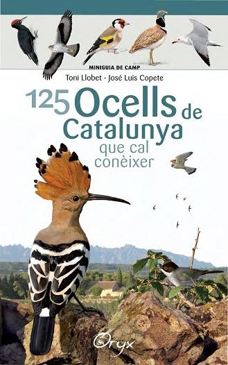 125 OCELLS DE CATALUNYA | 9788490346747 | LLOBET FRANÇOIS, TONI/COPETE, JOSÉ LUIS | Llibreria La Gralla | Librería online de Granollers