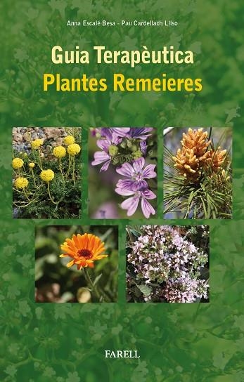 GUIA TERAPÈUTICA PLANTES REMEIERES | 9788492811984 | ESCALÉ, ANNA; CARDELLACH, PAU | Llibreria La Gralla | Librería online de Granollers