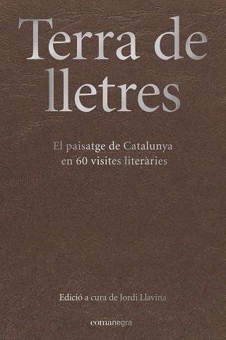 TERRA DE LLETRES | 9788417188283 | LLAVINA, JORDI | Llibreria La Gralla | Librería online de Granollers