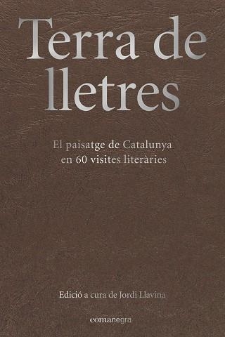 TERRA DE LLETRES | 9788417188283 | LLAVINA, JORDI | Llibreria La Gralla | Llibreria online de Granollers