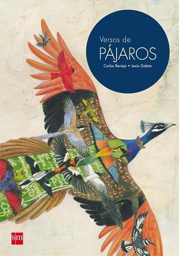 VERSOS DE PAJAROS | 9788467597721 | REVIEJO, CARLOS | Llibreria La Gralla | Llibreria online de Granollers