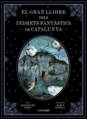 GRAN LLIBRE DELS INDRETS FANTÀSTICS DE CATALUNYA, EL | 9788417188344 | PRATS PIJOAN, JOAN DE DÉU/PADILLA CLIMENT, MARIA | Llibreria La Gralla | Librería online de Granollers