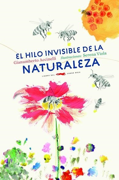 HILO INVISIBLE DE LA NATURALEZA, EL | 9788494728471 | ACCINELLI, GIANUMBERTO | Llibreria La Gralla | Librería online de Granollers