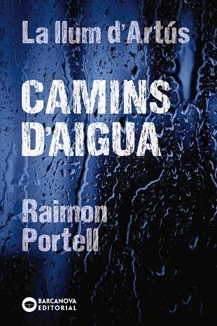 CAMINS D'AIGUA | 9788448942144 | PORTELL, RAIMON | Llibreria La Gralla | Llibreria online de Granollers